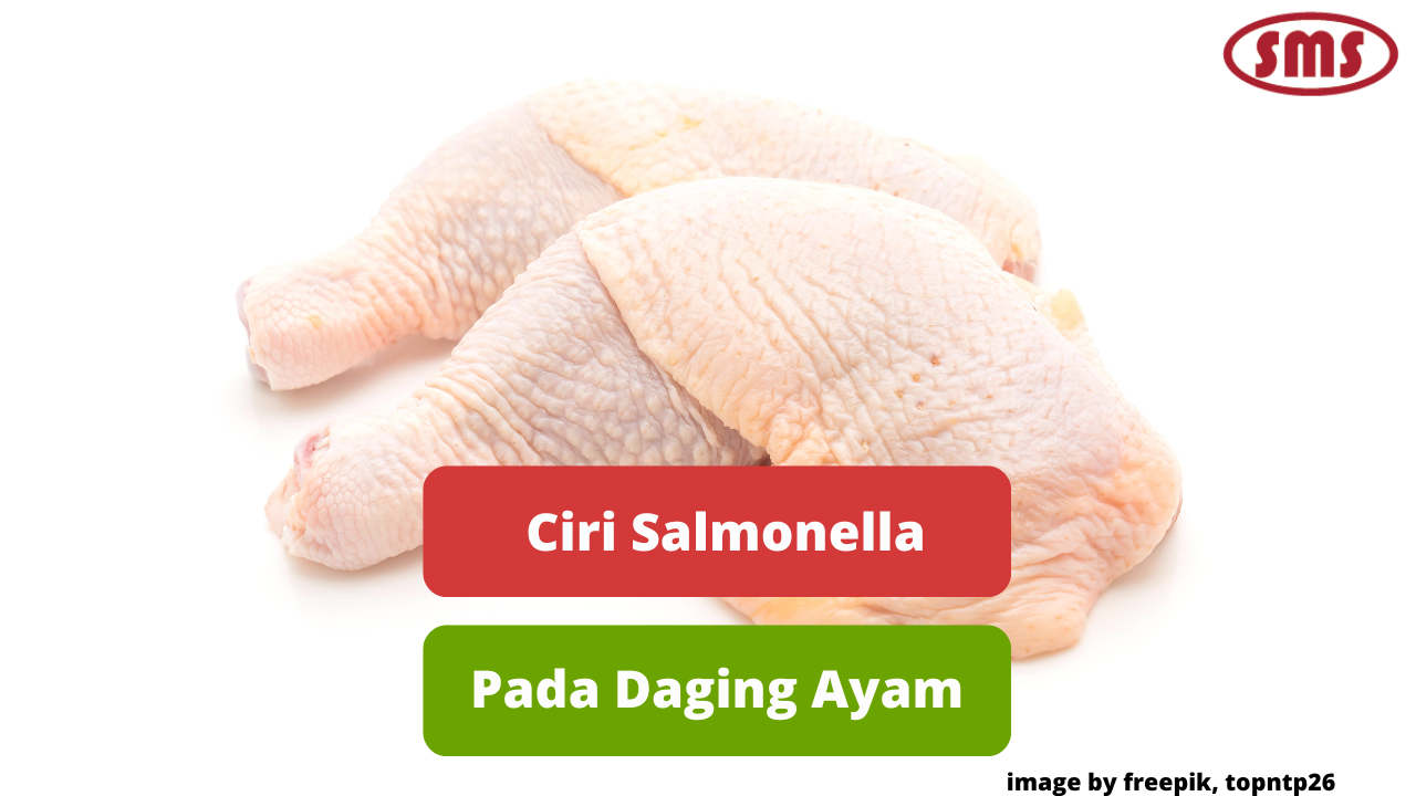 Berikut Ini Beberapa Ciri Daging Ayam Yang Terkontaminasi Salmonella